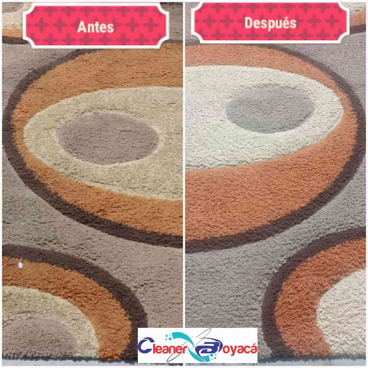 Lavado de Alfombras